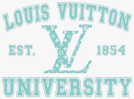 LV University DTF