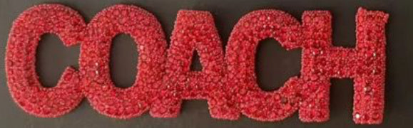 Coach bling Patches